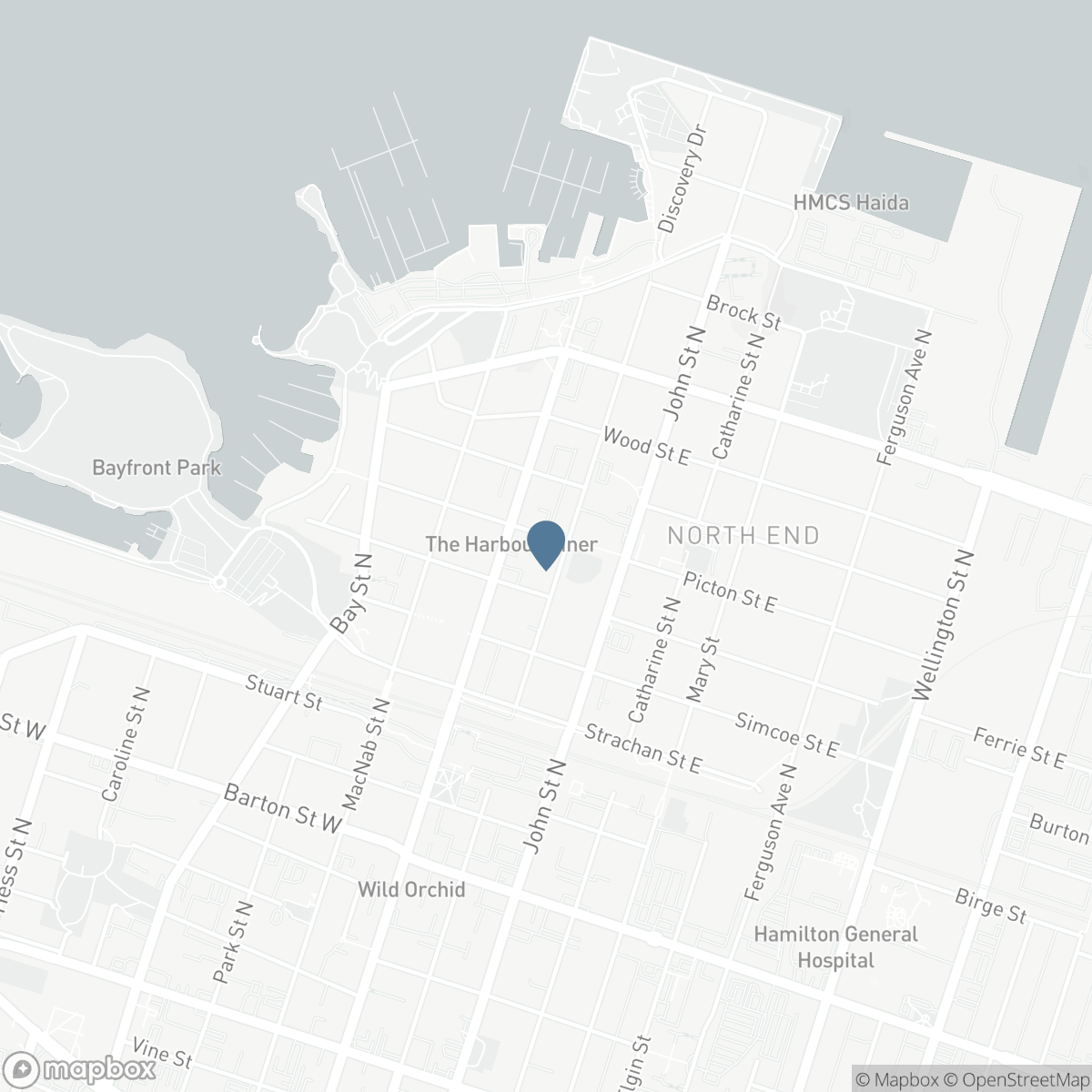 22 PICTON Street E, Hamilton, Ontario L8L 3W3
